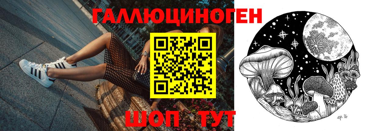 Усолье-Сибирское  Псилоцибиновые грибы Psilocybine cubensis  Вход с VPN 