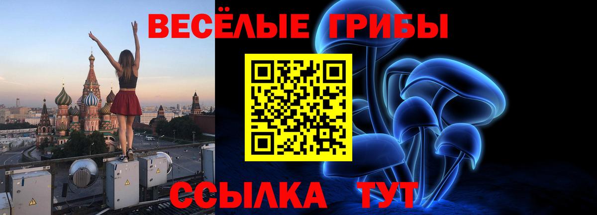 Галлюциногенные грибы MAGIC MUSHROOMS Усолье-Сибирское